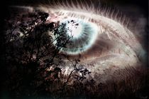eye of the beholder by hpr-artwork