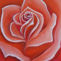 Rote Rose by Barbara Kaiser