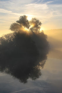 Sonnenlicht und Nebel by Bernhard Kaiser