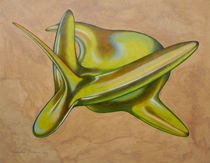 green aerofish von federico cortese