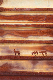 Rust Oryx von Adrian Hillman