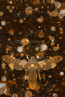 Moth Camouflage von Adrian Hillman