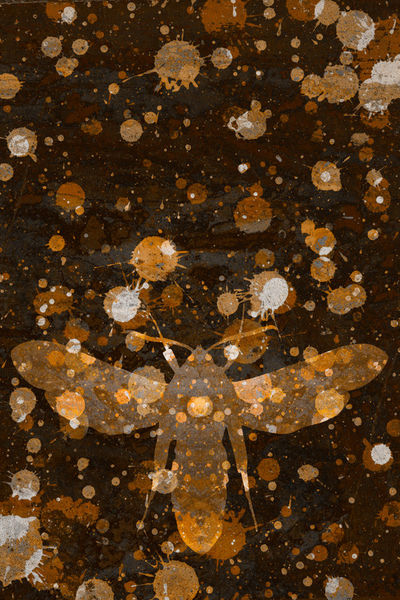Moth-camouflage