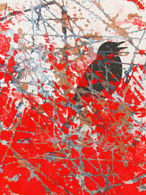 Bird in a Bush von Adrian Hillman