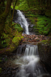 Blaen y Glyn Waterfall by Leighton Collins