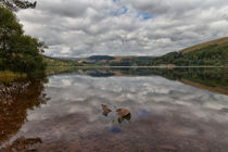 Pontsticill reservoir by Leighton Collins