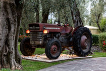 Traktor von denicolofotografie