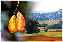 Hessen Landschaft Herbst von Sandra  Vollmann
