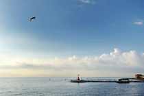 Lighthouse in the sea, Naples, Italy von Tania Lerro