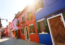 Colorful houses in Burano  by Tania Lerro