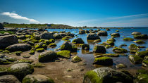 Mossy stones by consen