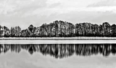 White-symphony-of-winter-lake