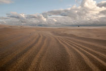 Sand . Linien von Peter Steinhagen