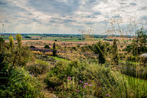 Yorkshire Lavender View von Colin Metcalf
