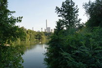 Central Park - New York von artzfotos