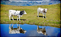 Cattles and lake von Leopold Brix