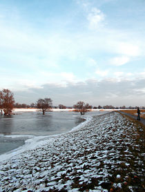 Eiszeit auf dem Oderdamm... by voelzis-augenblicke
