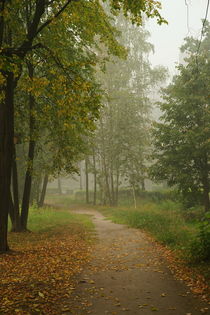 Foggy morning in park by Kirill Serkov