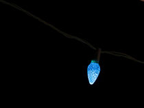 Single Blue Christmas Light  by Steven Ralser