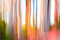 Abstract Moving Trees Background Strawberry Pink and Frost by Eugene Norris