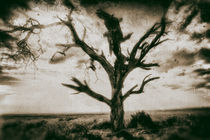 Baum in der Savane by Viktor Peschel