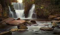 Autumn colours at Penllergare waterfalls von Leighton Collins