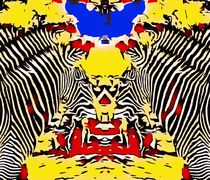 zebras with red yellow and blue background by timla