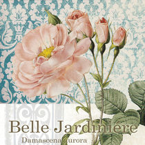 belle rose by art2b