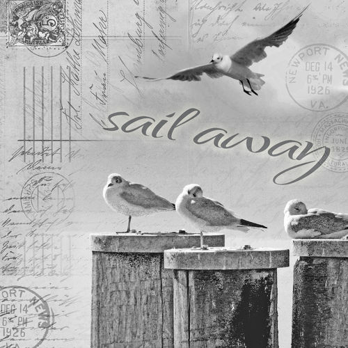Sail-away