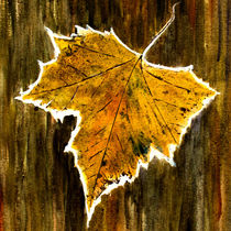 autumn - maple leaf von Chris Berger