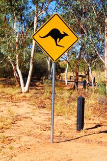 Kangaroo Sign by ann-foto
