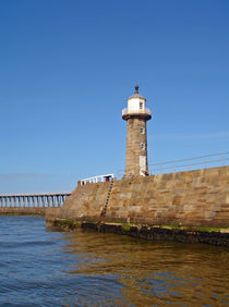 East Pier Lighthouse, Whitby von Rod Johnson