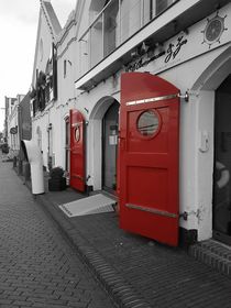 Red Doors  by Susanne  Mauz
