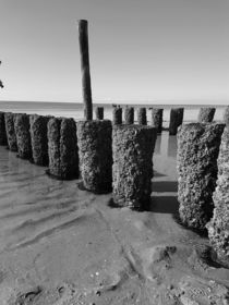 Beach Tristesse  by Susanne  Mauz