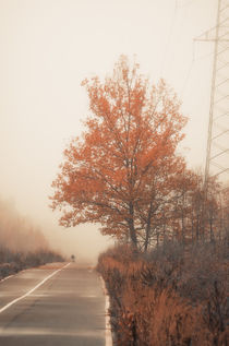 Autumn Road von cinema4design