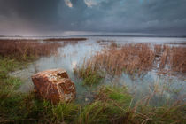The Loughor estuary von Leighton Collins