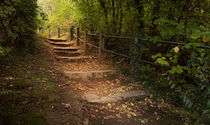 Autumn forest steps von Leighton Collins