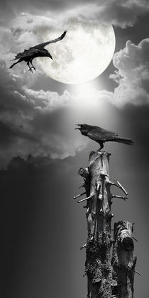 Raben in der Nacht unter Mondschein by Monika Juengling
