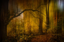 Tor im Wald von Stefan Kierek