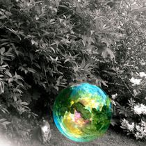 Bubble Cat von Susanne  Mauz