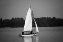 Sailing away  by Susanne  Mauz