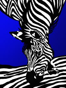 Zebra by Gabi Siebenhühner