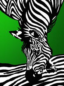 Zebra von Gabi Siebenhühner