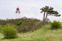 Der Leuchtturm Dornbusch auf der Insel Hiddensee by Rico Ködder