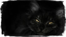 black cat von Wolfgang Pfensig