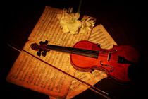 Die Violine by Claudia Evans