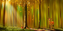 'Ein Reh im Herbstwald - Deer in the autumn forest' by Monika Juengling