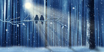 Liebe im Winter by Monika Juengling