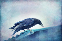 Mr. Bluebird by Priska  Wettstein