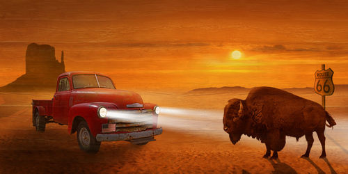 Sunset-us-pickup-bison